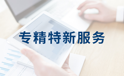 大连专精特新服务